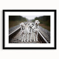 Framed Dalmatian wall art design showcasing a striking black and white spotted dog, elegantly matted and displayed, perfect for dog lovers' home decor.