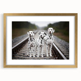 Framed wall art featuring a stylish Dalmatian design with a gold frame and mat, perfect for enhancing home decor with a touch of elegance.