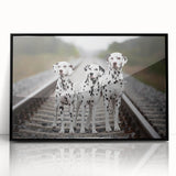 Framed acrylic wall art featuring a striking Dalmatian design on a black background, ideal for dog lovers and modern home decor, showcasing vibrant colors and intricate details.