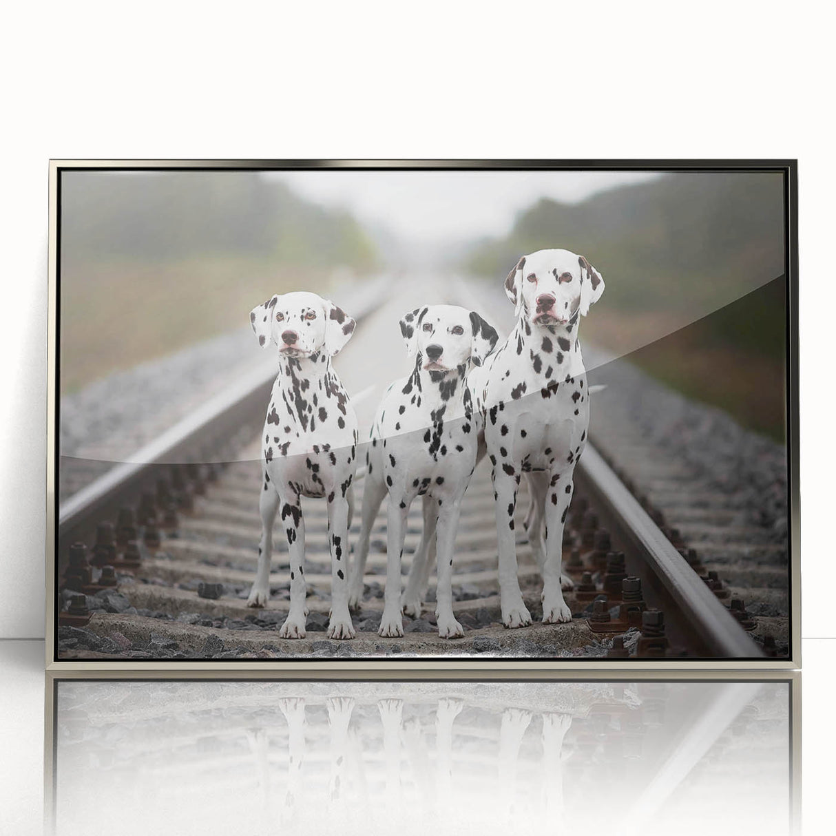 Framed wall art collection featuring a stylish Dalmatian design with a sleek silver frame, showcasing vibrant colors and intricate details, perfect for dog lovers.