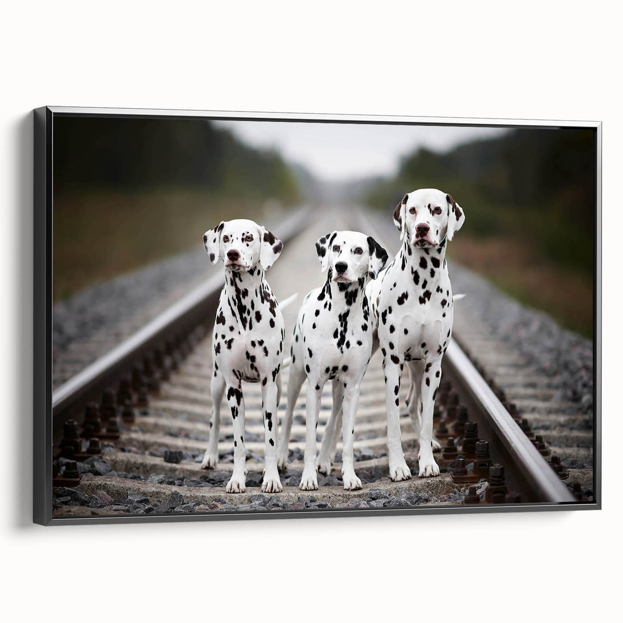 Framed canvas wall art featuring a striking black and white Dalmatian design, showcasing the dog's unique spots, perfect for pet lovers and modern decor.