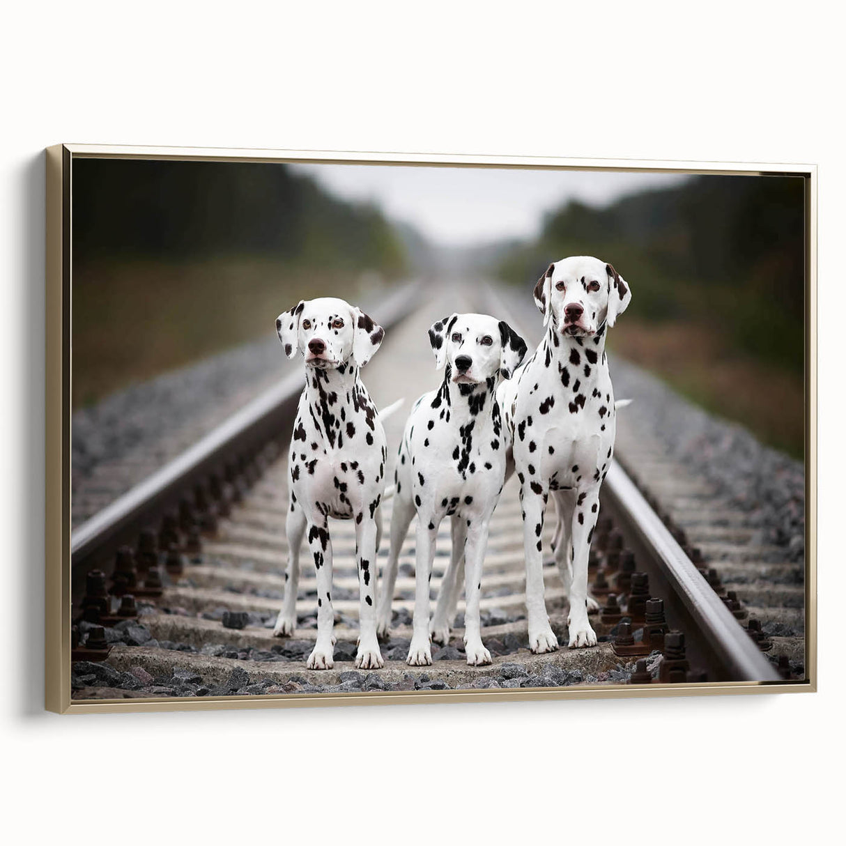 Framed wall art featuring a stylish Dalmatian dog design on a gold background, showcasing a side view of the elegant canvas piece, perfect for home decor.