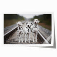 Dalmatian wall art collection featuring a vibrant, colorful design of playful Dalmatians against a white background, rolled for easy display and shipping.