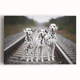 Stretched canvas wall art featuring a vibrant Dalmatian design in a playful pose, perfect for dog lovers and home decor, showcasing bold colors and intricate details.