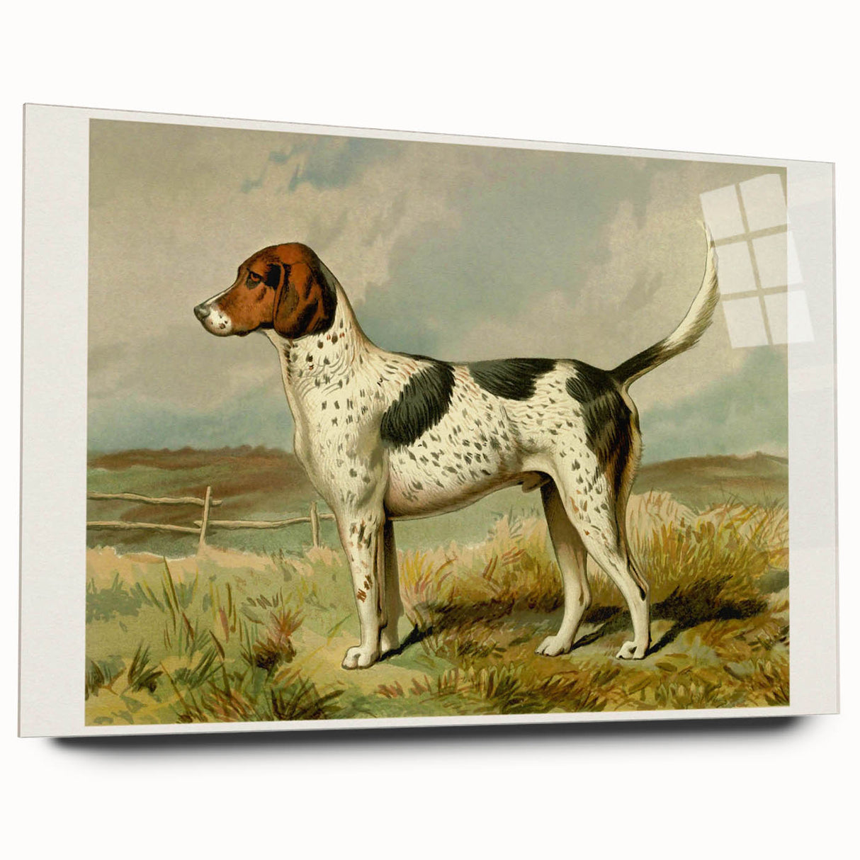 Acrylic glass wall art featuring a vibrant Dalmatian design, showcasing a side view of playful spots and a sleek finish, ideal for pet lovers' home decor.
