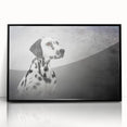 Framed acrylic wall art featuring a Dalmatian design, showcasing a striking black and white color scheme. Perfect for dog lovers and modern home decor, this piece adds a stylish touch to any room.
