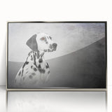 Framed acrylic wall art featuring a striking Dalmatian design against a silver background, showcasing vibrant colors and fine details, perfect for dog lovers.