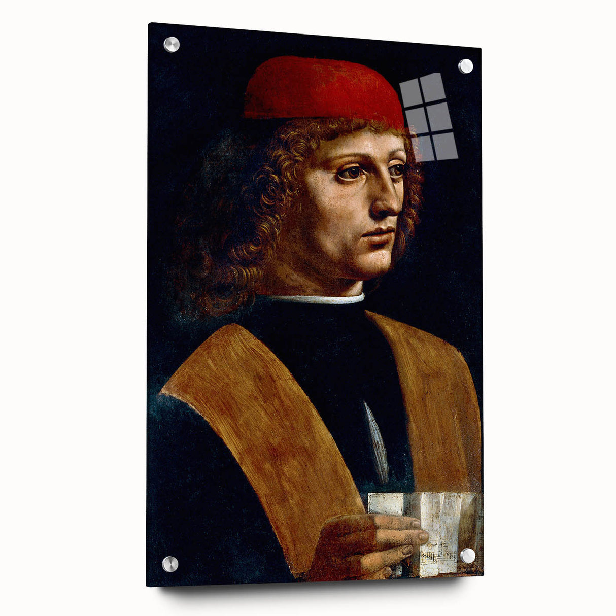 Acrylic print of a Leonardo da Vinci-inspired design in muted earth tones, suitable for bedroom or dining room decor.