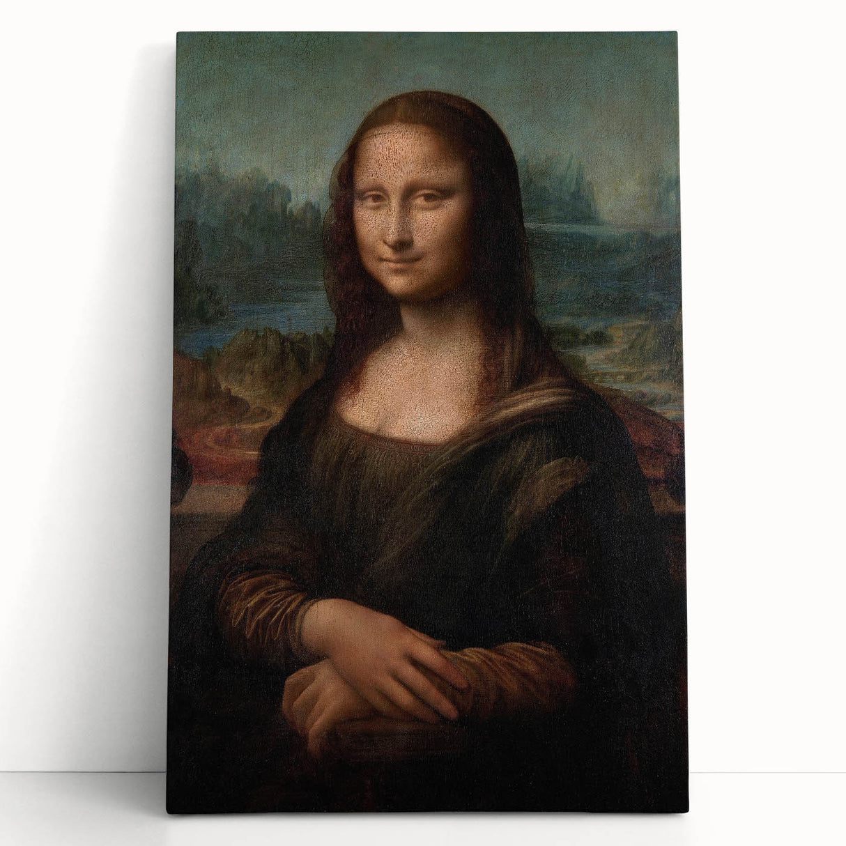 Black and white stretched canvas print of Leonardo da Vinci's sketches, ideal for kitchen wall art or bedroom ambiance.