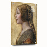 Acrylic print of a Leonardo da Vinci design, featuring muted earth tones, ideal for dining room decor.
