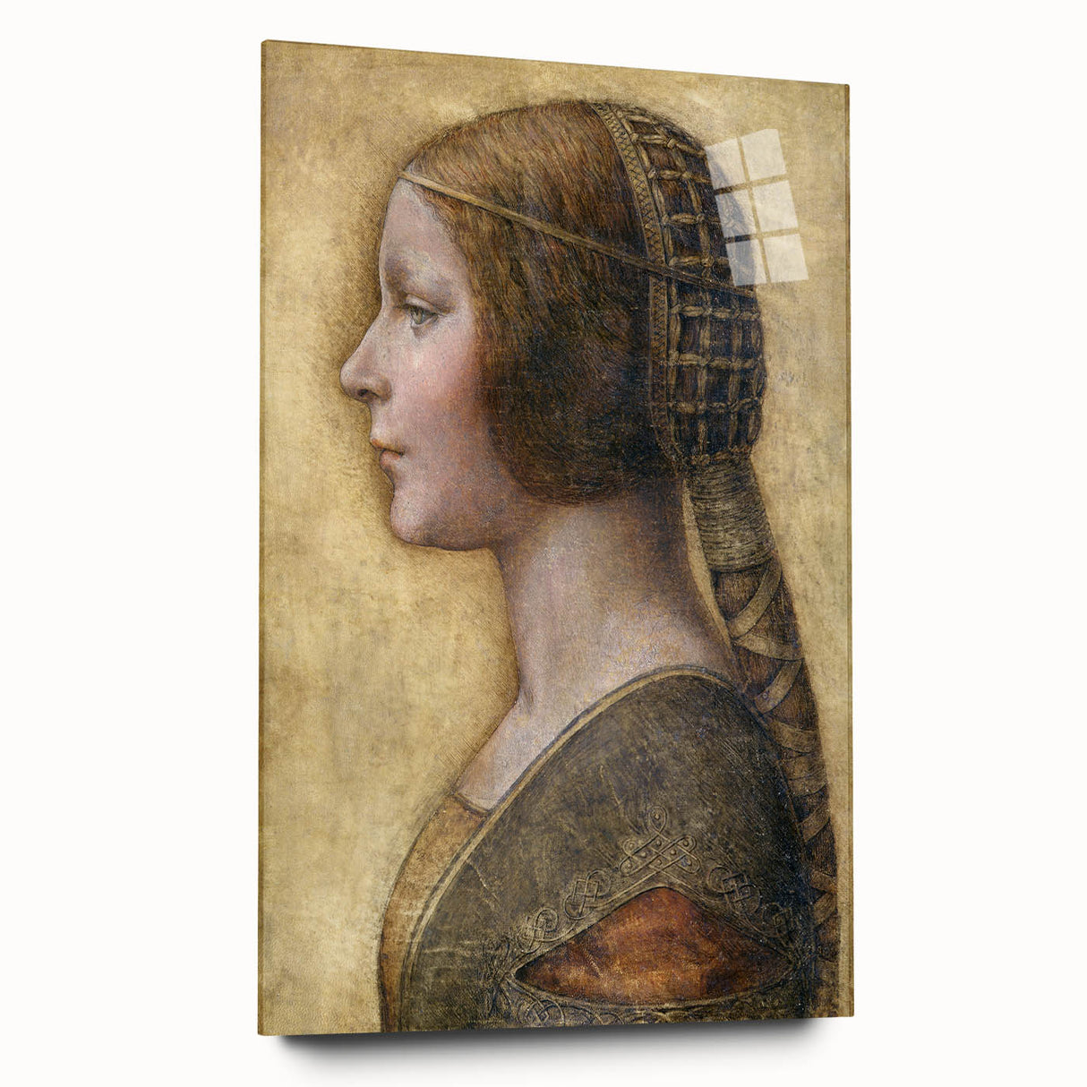 Leonardo da Vinci-inspired large abstract wall art on acrylic glass, featuring muted earth tones.