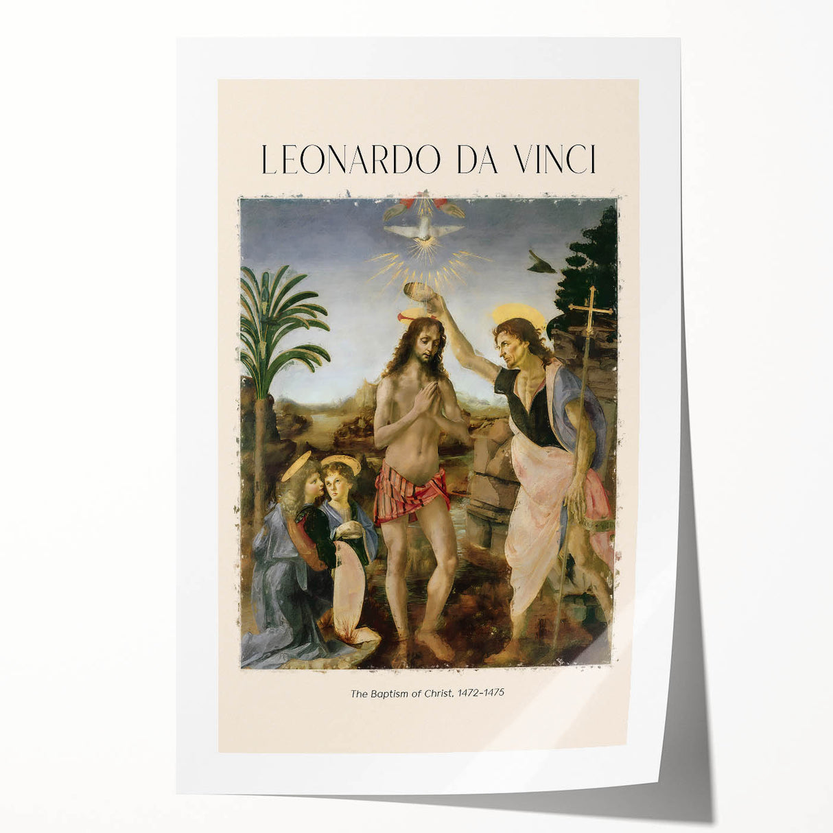 Rolled print of Leonardo da Vinci's floral sketches on a white background.