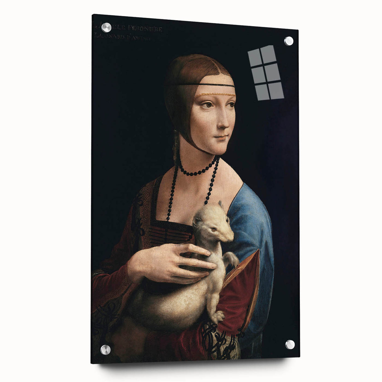 Acrylic glass print of Leonardo da Vinci-inspired design, featuring muted earth tones.