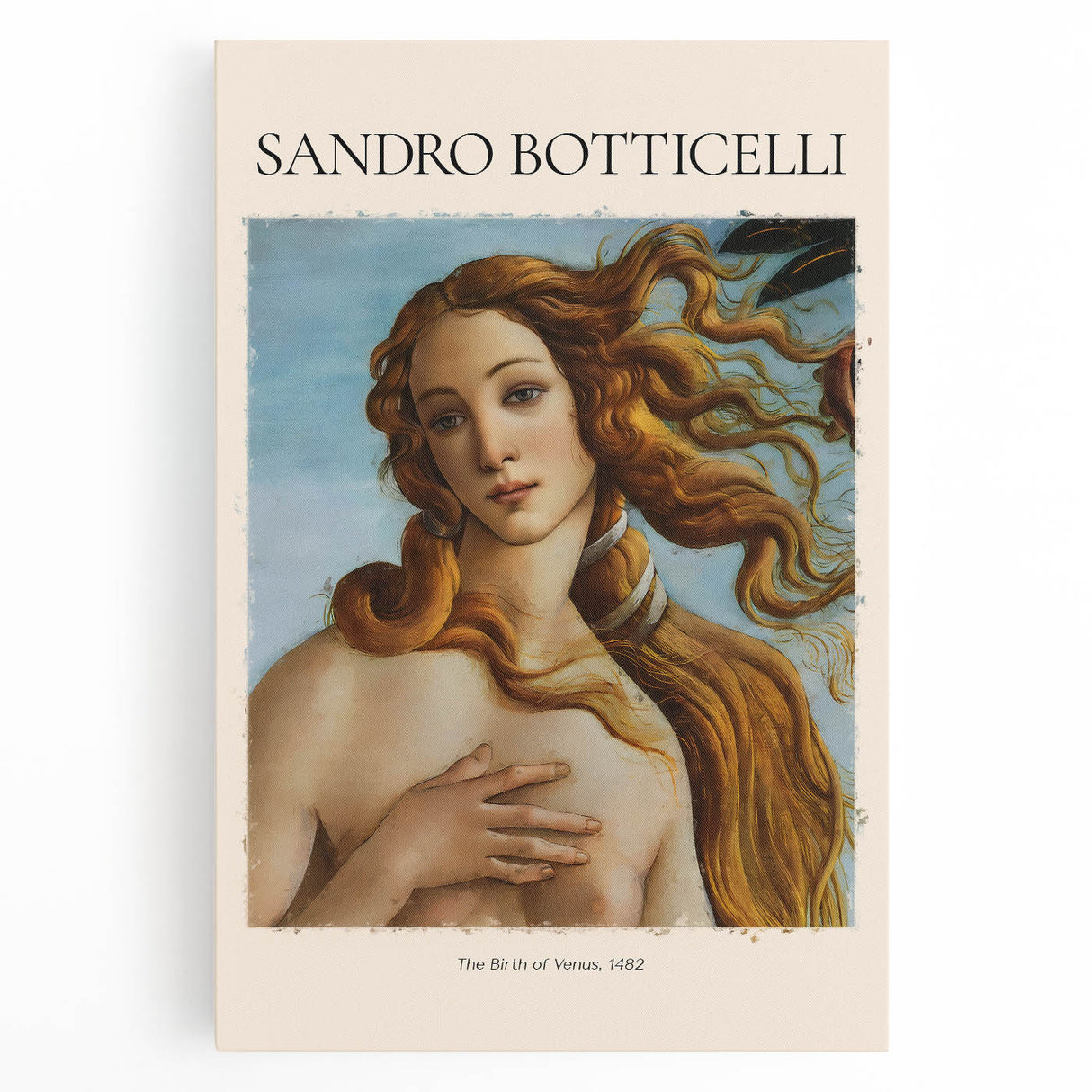 Black and white print of Sandro Botticelli's artwork on stretched canvas, suitable for kitchen art.