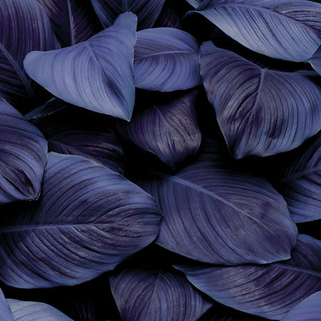 Banner image for Featured Wall Art Collection showcasing curated abstract and minimalist prints