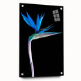 Acrylic wall art showcasing a vibrant bird of paradise design with floral elements, displayed from the side with decorative pins, perfect for brightening any space.