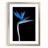 Botanical wall art featuring a vibrant Bird of Paradise design in a sleek silver frame with a mat, showcasing intricate floral details perfect for home décor.