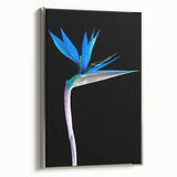 Framed wall art featuring a vibrant Bird of Paradise design with botanical elements, set against a silver frame. Ideal for modern home decor and flower enthusiasts.
