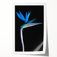 Vibrant botanical wall art print showcasing a stunning bird of paradise design with rich colors, perfect for home decor or art collection, rolled for easy display.