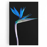 Vibrant bird of paradise wall art design printed on stretched canvas, showcasing rich colors and intricate botanical details, perfect for home decor enhancement.
