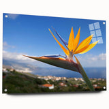 Vibrant wall art showcasing a botanical Bird of Paradise design, featuring rich colors and intricate details, framed with acrylic glass and displayed with pins.