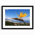Botanical wall art featuring a vibrant Bird of Paradise design in a sleek black frame with a mat, ideal for adding a touch of nature-inspired elegance to home decor.