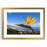 Botanical wall art featuring a vibrant Bird of Paradise design, framed in elegant gold with a mat, showcasing detailed floral elements and lush colors. Ideal for enhancing modern decor.