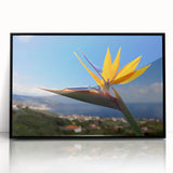 Framed black acrylic wall art showcasing a vibrant botanical design featuring a bird of paradise, perfect for enhancing modern home decor.