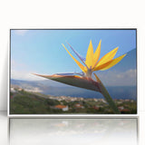 Framed botanical wall art showcasing a vibrant Bird of Paradise design with acrylic finish, featuring a white frame that enhances the floral colors. Perfect for home decor.