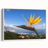 Framed canvas wall art showcasing a vibrant Bird of Paradise design, featuring lush green leaves and bold tropical colors, ideal for home decor enhancement.