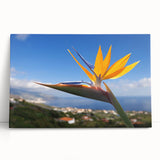 Stylish wall art featuring a vibrant Bird of Paradise design on a stretched canvas, showcasing intricate floral patterns in bright colors, perfect for home decor.