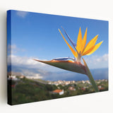 Stretched canvas wall art showcasing a vibrant Bird of Paradise floral design, featuring rich colors and intricate details, perfect for home decor enhancement.
