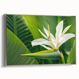 Framed canvas wall art featuring a vibrant botanical illustration of a bird of paradise in silver, showcasing intricate details and rich colors, perfect for home decor.