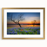 Botanical wall art print featuring vibrant bluebonnet flowers in a gold frame with a mat, ideal for enhancing home decor with a touch of nature's beauty.