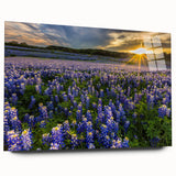 Close-up of a botanical wall art collection featuring vibrant bluebonnet designs printed on acrylic glass, showcasing a sleek side view without pins. Ideal for floral decor enthusiasts seeking unique home accents.