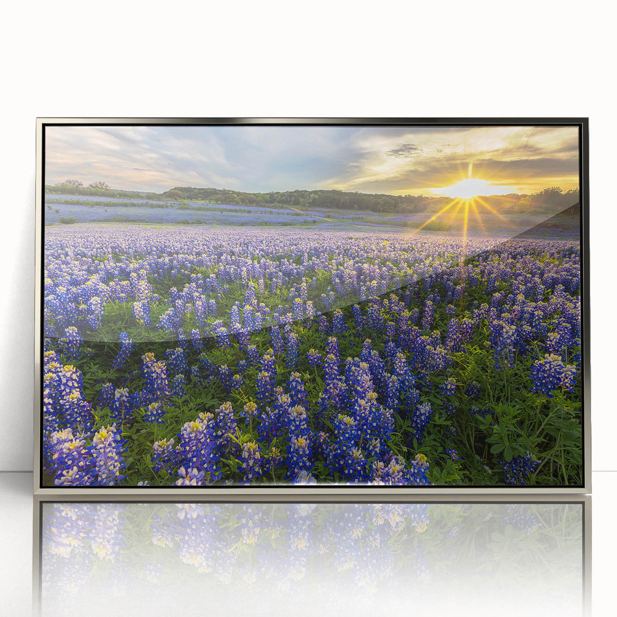 Framed wall art featuring a botanical bluebonnet design in vibrant colors, with a sleek silver frame, ideal for home decor or nature-themed interiors.
