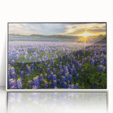 Framed wall art collection showcasing a vibrant bluebonnet botanical design, featuring an acrylic front and a sleek white frame, perfect for modern decor.