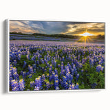 Framed wall art showcasing a vibrant bluebonnet botanical design on a canvas, featuring a white frame and side view display, ideal for home decor.