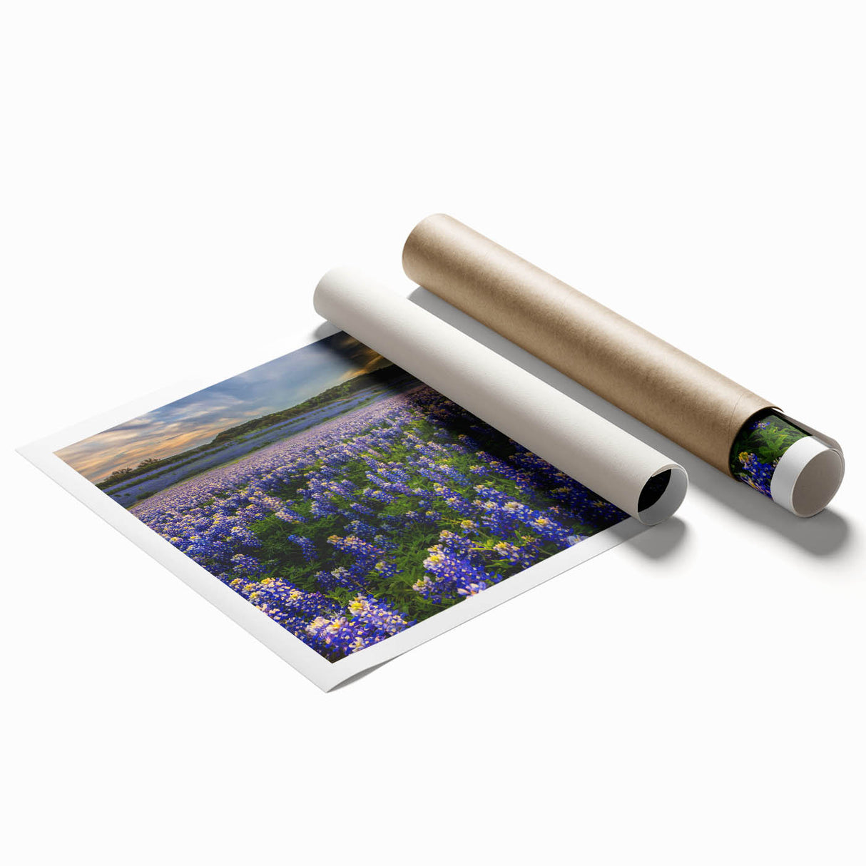 Vibrant botanical wall art print showcasing a detailed bluebonnet design against a soft background, ideal for home decor or nature-themed interiors.
