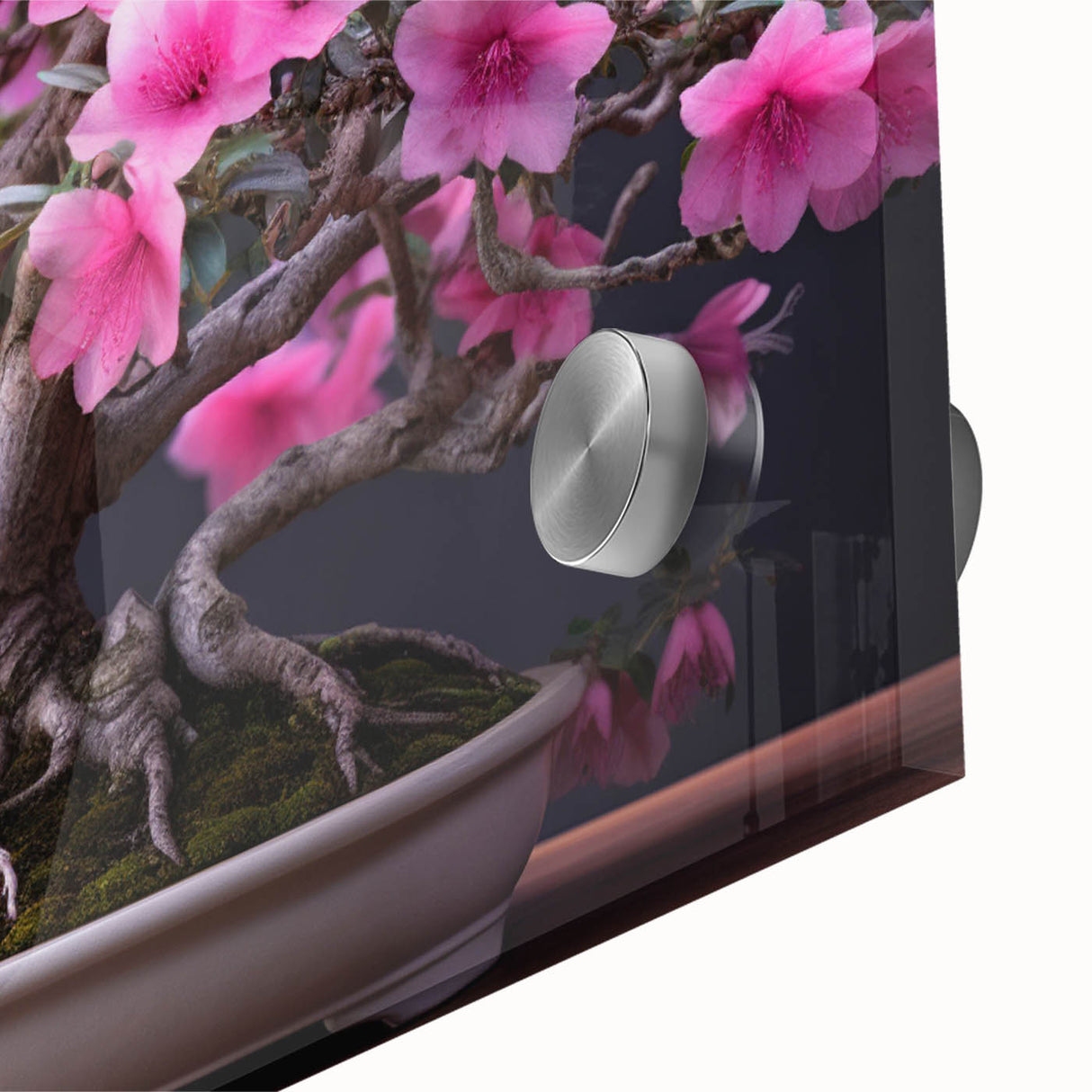 Close-up of a vibrant botanical bonsai tree design printed on acrylic glass, showcasing intricate details and vivid colors, perfect for modern wall art decor.