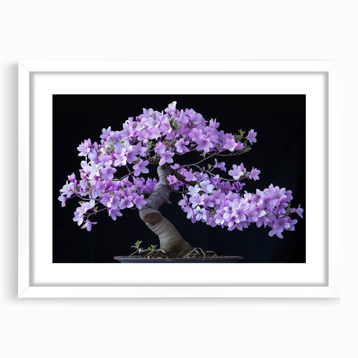 Botanical bonsai tree wall art collection framed with a white mat, showcasing vibrant floral designs and intricate details, perfect for home decor enhancement.