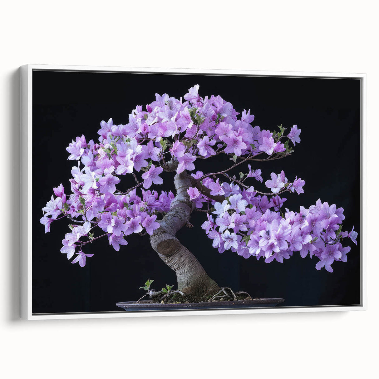 Framed botanical bonsai tree wall art in a minimalist white setting, showcasing vibrant greenery and intricate details, ideal for modern home decor.