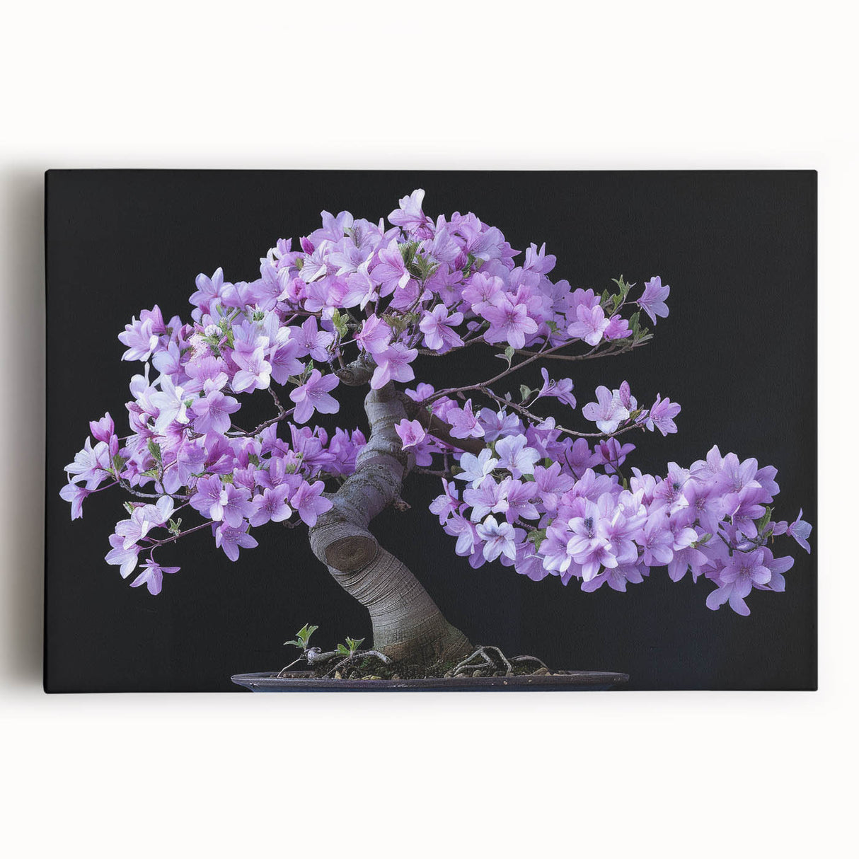 Colorful botanical bonsai tree wall art design on stretched canvas, showcasing vibrant flowers and intricate details, perfect for home decor or art collection.
