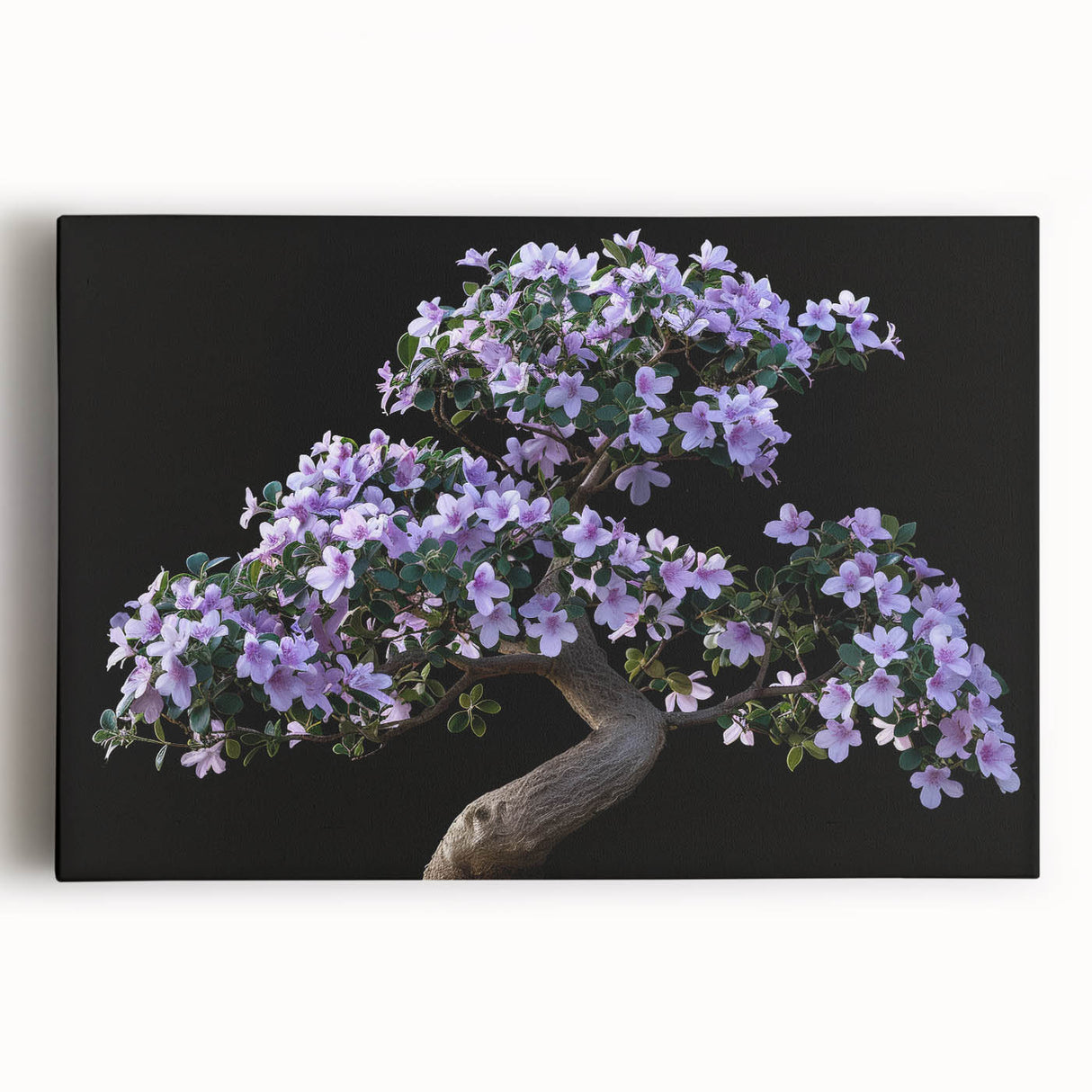 Botanical bonsai tree wall art design on stretched canvas, showcasing intricate floral patterns in vibrant colors, ideal for home decor enhancement.