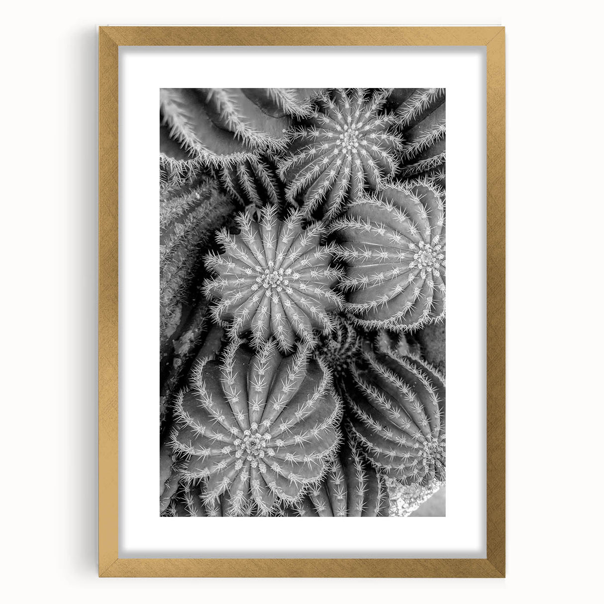 Botanical wall art featuring a vibrant cactus design in a gold frame with a mat, perfect for modern home decor. Ideal for adding a touch of nature and elegance to any space.