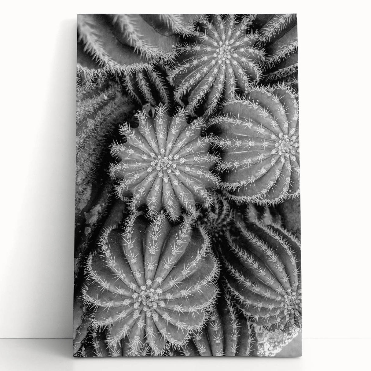 Botanical wall art piece showcasing a vibrant cactus design on stretched canvas, leaning against a neutral backdrop. Perfect for adding a touch of nature-inspired decor to any space.