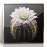 Framed wall art featuring a botanical design of colorful cacti against a gold-acrylic background, perfect for modern home decor or office spaces.