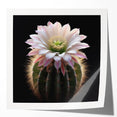 Botanical wall art print showcasing a vibrant cactus design with intricate details, rolled for easy display and storage, perfect for home décor enthusiasts.