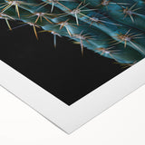 Botanical wall art design showcasing vibrant cacti in various colors on a rolled canvas, perfect for modern home decor, enhancing any artistic space.