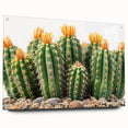 Acrylic glass wall art featuring a botanical cactus design, displayed from a side view with decorative pins, perfect for modern home decor enthusiasts.